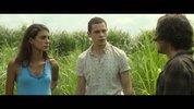 【电影】高草丛中.中英特效双字.云中漫步.2019