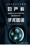 实用系列手术学图谱  妇产科手术图谱_11224645